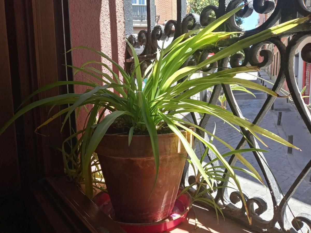 Apartamento Lavapies Al Lado Del Rastro, Madrid